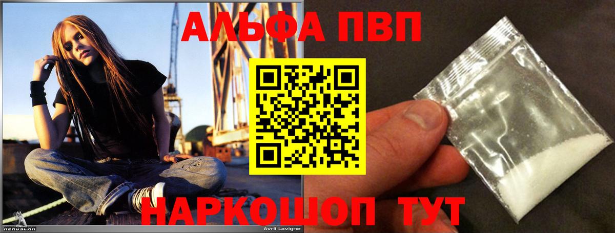Alfa_PVP СК Протвино