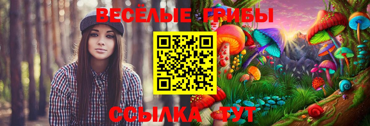 Альфа ПВП Протвино